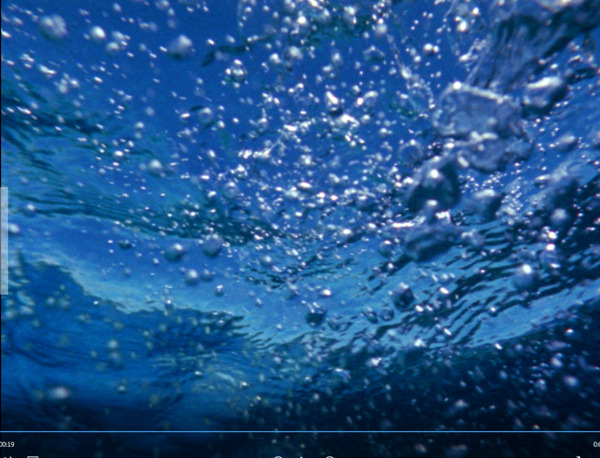 海水气泡视频