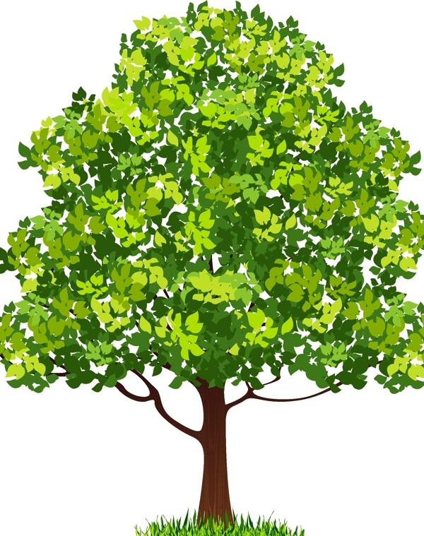 绿树矢量图图片