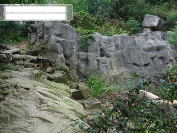 假山绿色植物九龙瀑一景