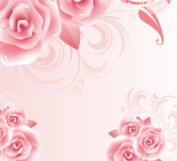 粉红玫瑰背景图片