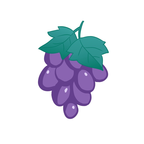 紫色高甜度大粒葡萄