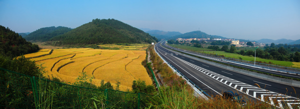 高速公路与秋收的稻田图片
