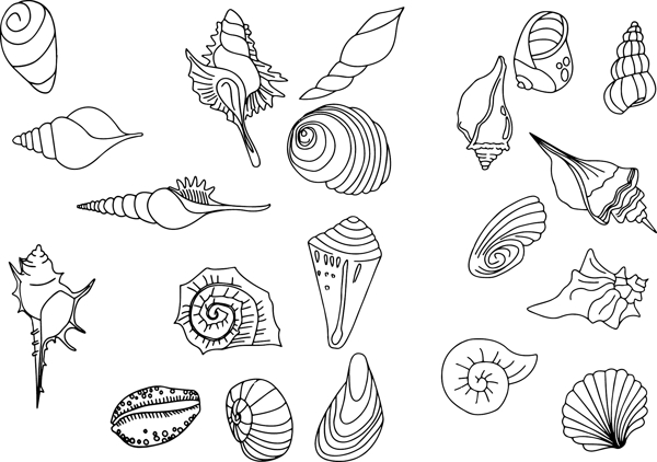 贝壳海螺卡通