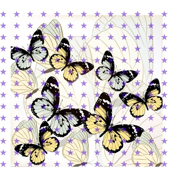 蝴蝶几何图片