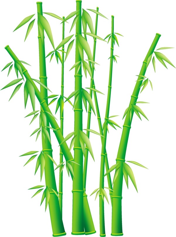 翠绿的竹竿