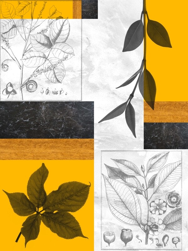 现代手绘植物几何组合质感纹理装饰画