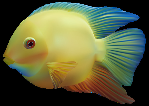 手绘可爱彩色的鱼免抠png透明图层素材