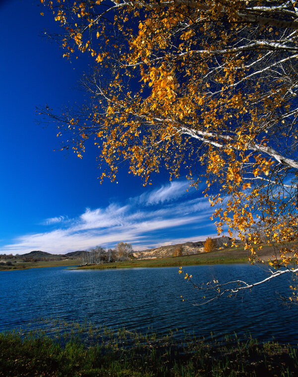 湖泊风景摄影图片图片