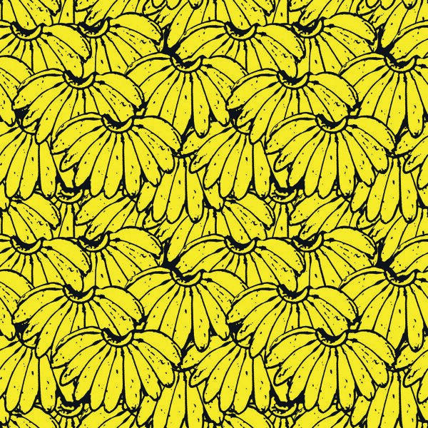 热带香蕉图片