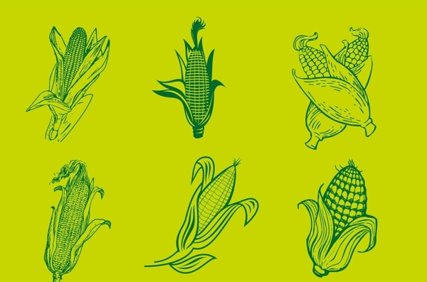线条玉米素材图片