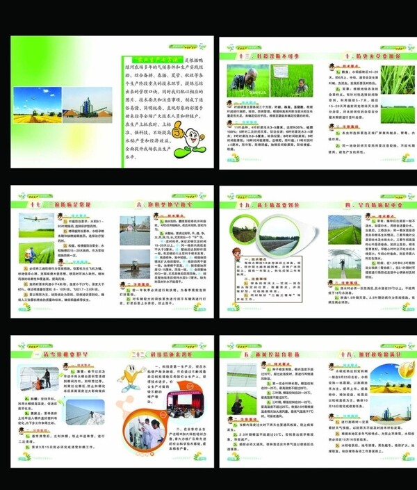 水稻生产技术手册