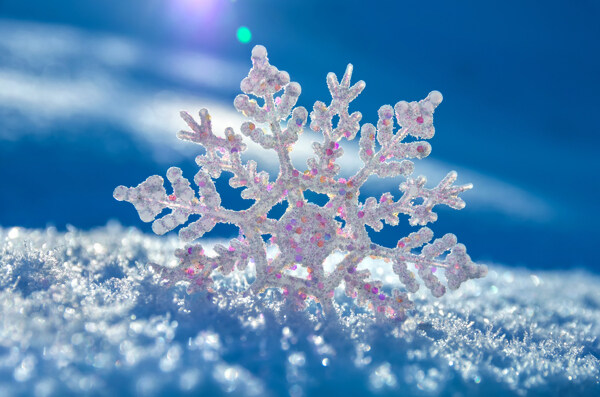 雪花与雪地图片