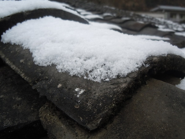 瓦片积雪图片