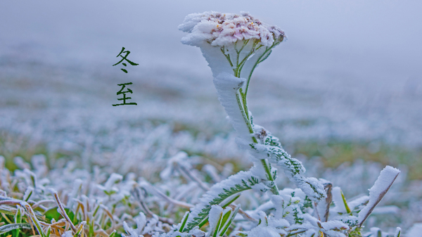 冬至24节气