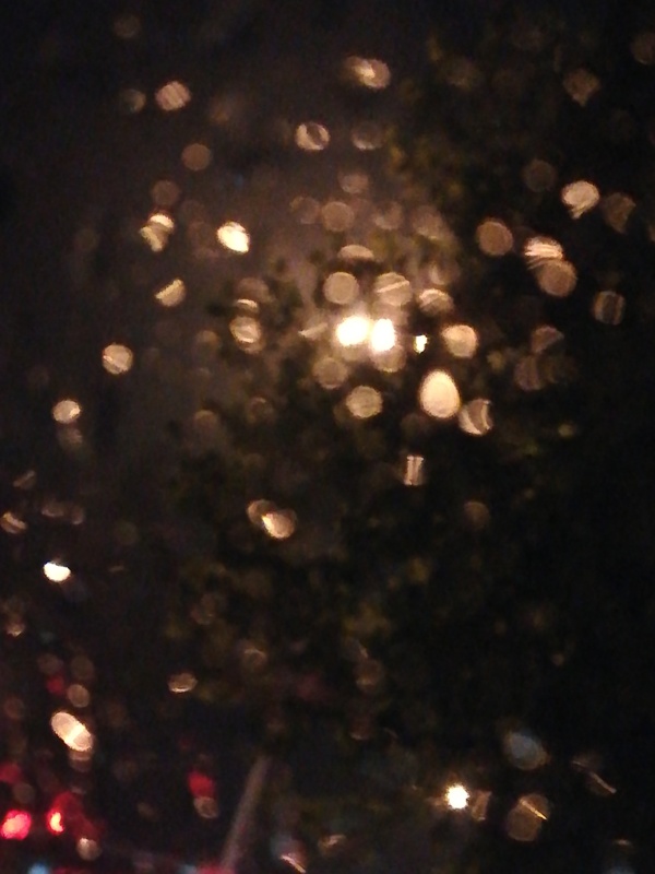雨中灯