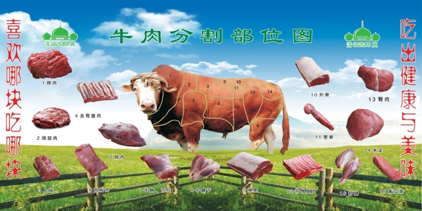 牛肉分割图