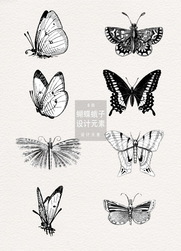 蝴蝶蛾子手绘插画设计元素