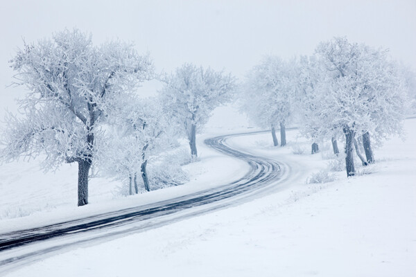 雪天公路