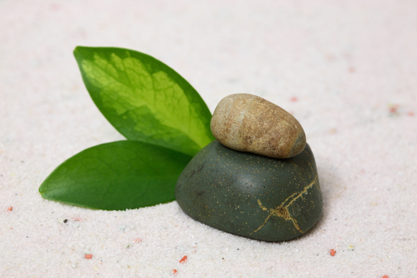 沙子上的石头与绿叶图片
