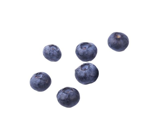 梅子水果好吃蓝莓