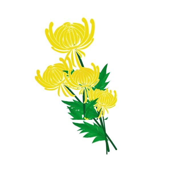黄色的菊花花枝设计元素