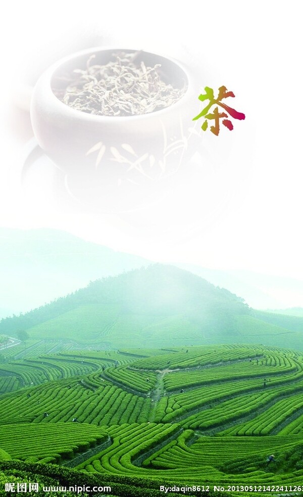 茶茶山绿茶图片