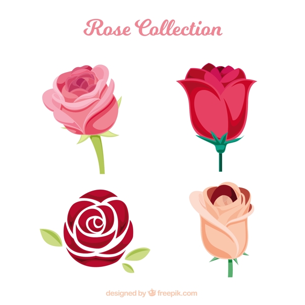 各种不同种类的玫瑰图标