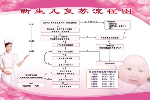 新生儿复苏流程图图片