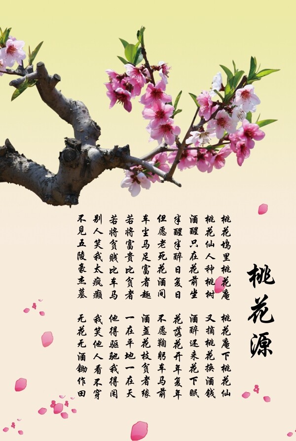 桃花源图片