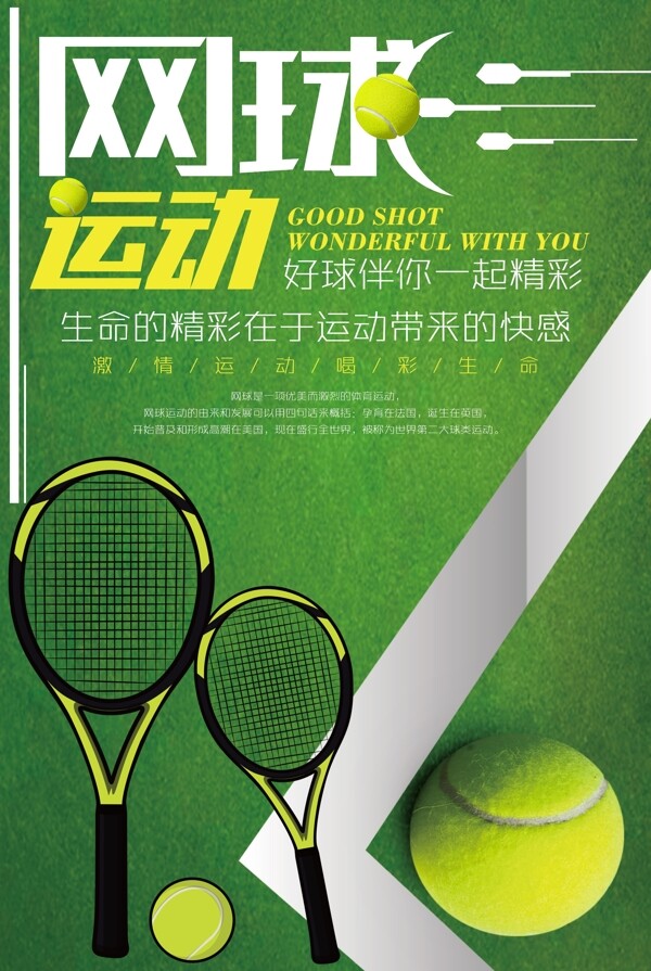 网球运动赛事体育项目宣传海报