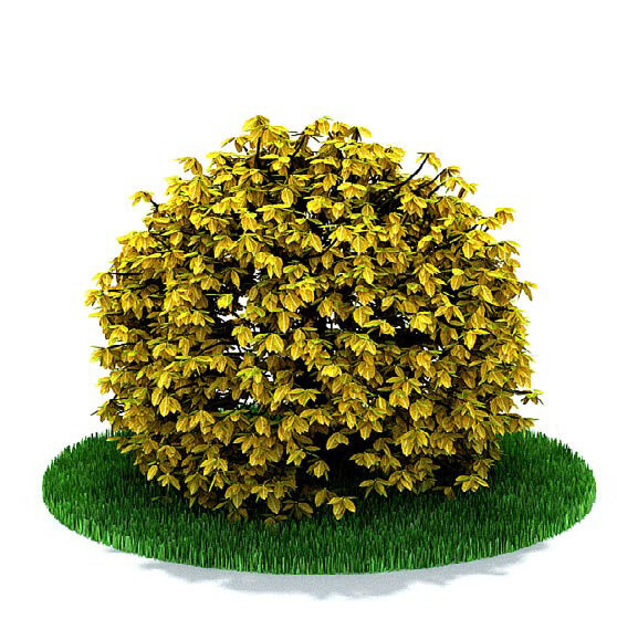 球形黄色植物3d模型