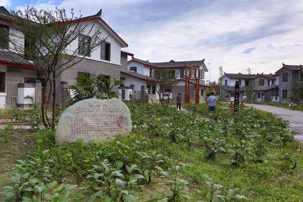 川西新农村图片