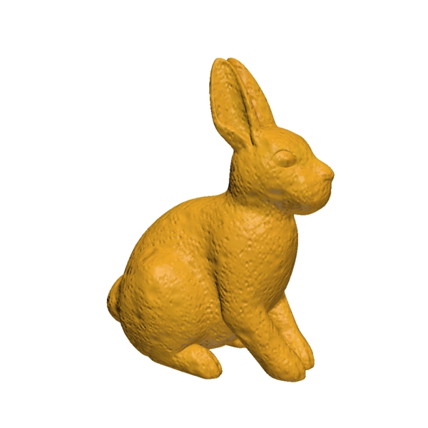 小兔子模型