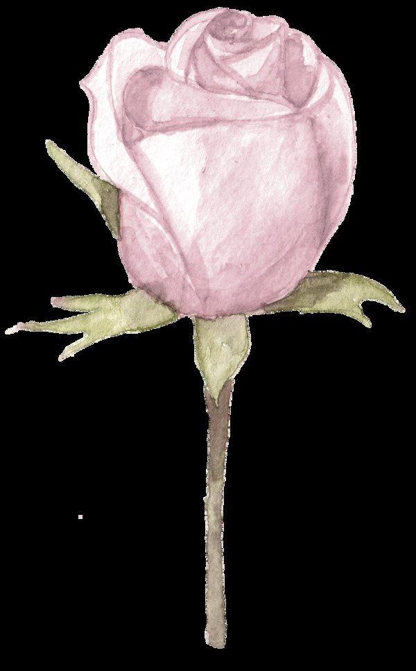 浪漫玫瑰花卡通透明素材