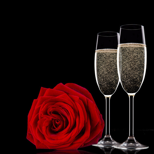 香槟玫瑰花图片素材