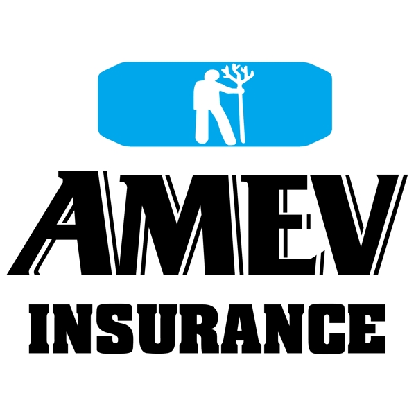 AMEV简约创意logo设计