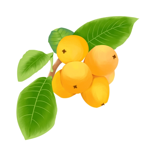 黄色夏季水果