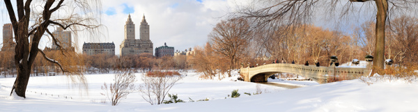 冬天雪景