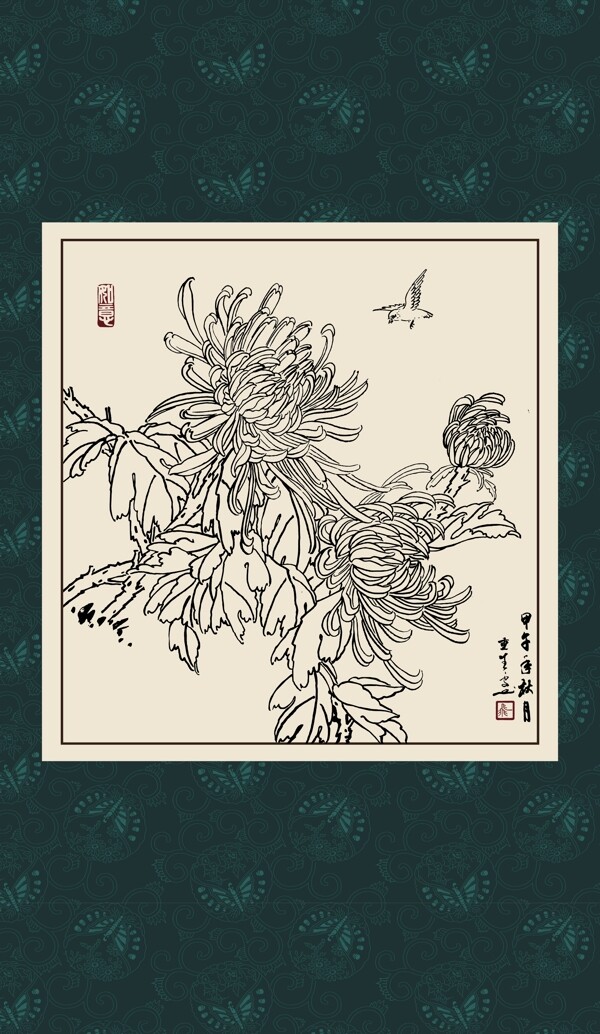 白描菊花