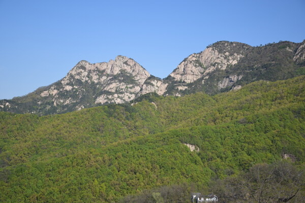 泰山