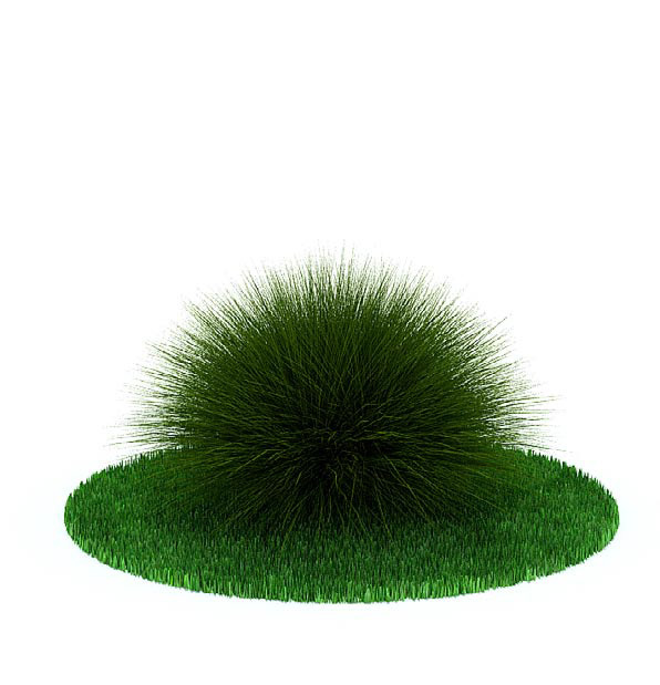 绿色刺猬形植物3d模型
