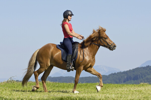 草地上骑马的女孩图片