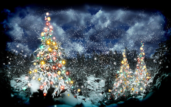 冬天雪地里的圣诞树大图