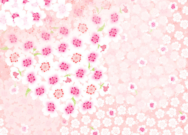 樱花背景粉色底大朵花