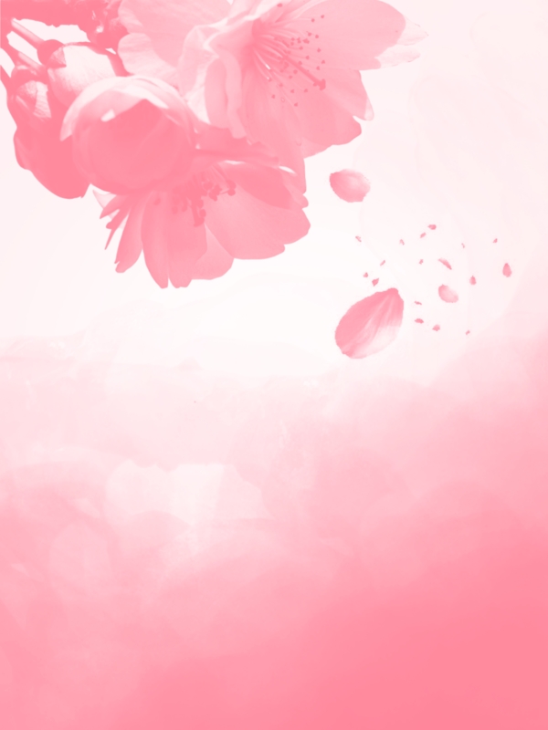 春天清晰桃花粉色图花瓣广告背景图