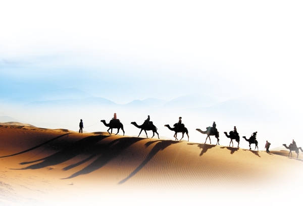 骆驼企业文化图片