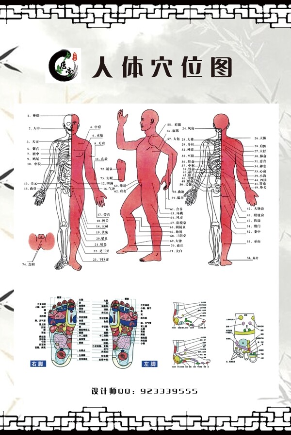 西医理疗构造人体图