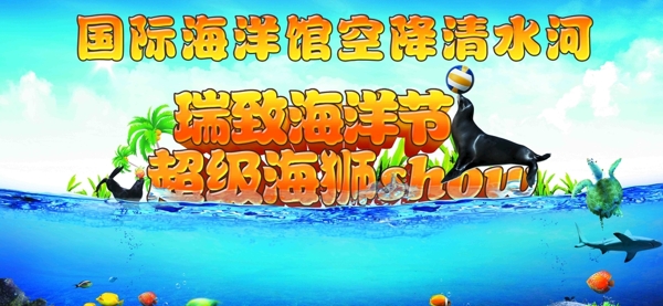 国际海洋馆超级海狮show