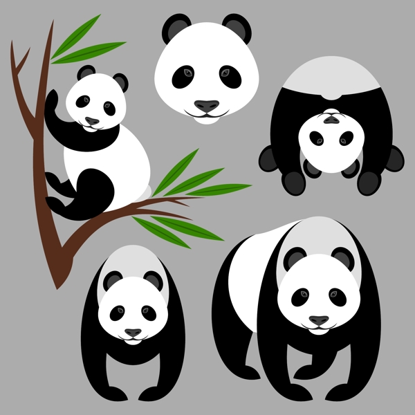 熊猫动物ai矢量素材下载
