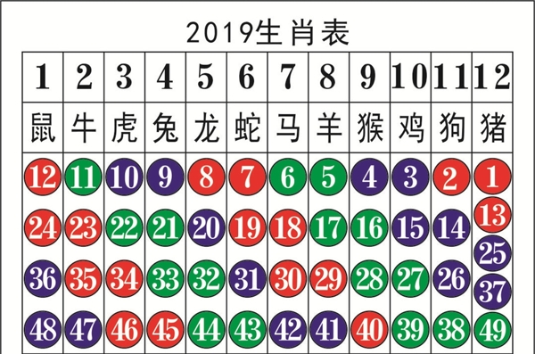 2019生肖表